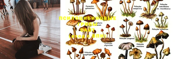 прущий лед Абинск
