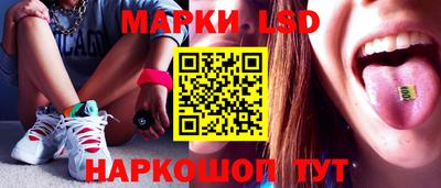 шишки Аргун