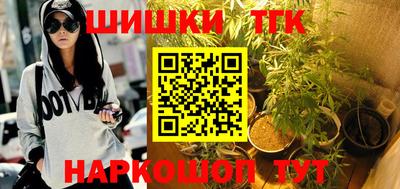 шишки Аргун