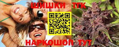 шишки Аргун