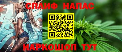 крисы Апшеронск