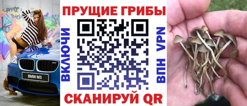 Галлюциногенные грибы Psilocybine cubensis  наркошоп  Батайск 