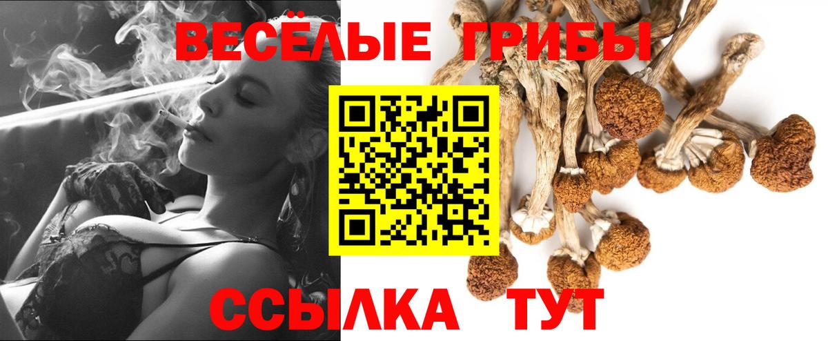 Галлюциногенные грибы мухоморы  Вход с VPN  Батайск 