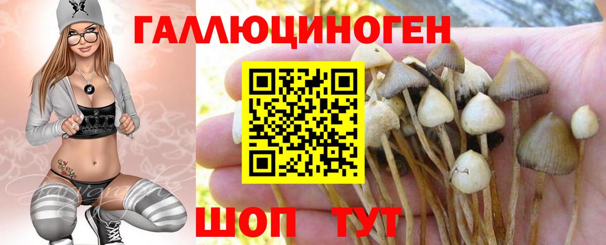 Псилоцибиновые грибы Magic Shrooms Батайск